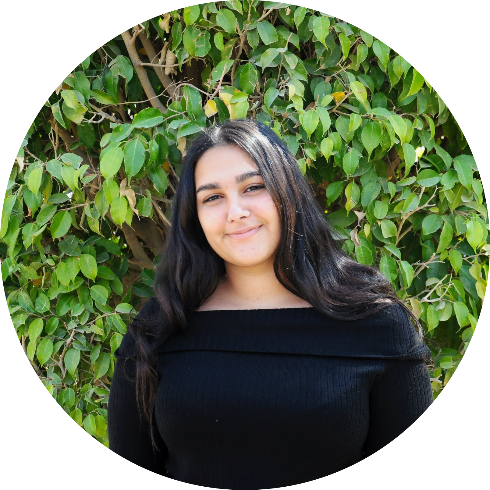 بهيرة طنطاوي